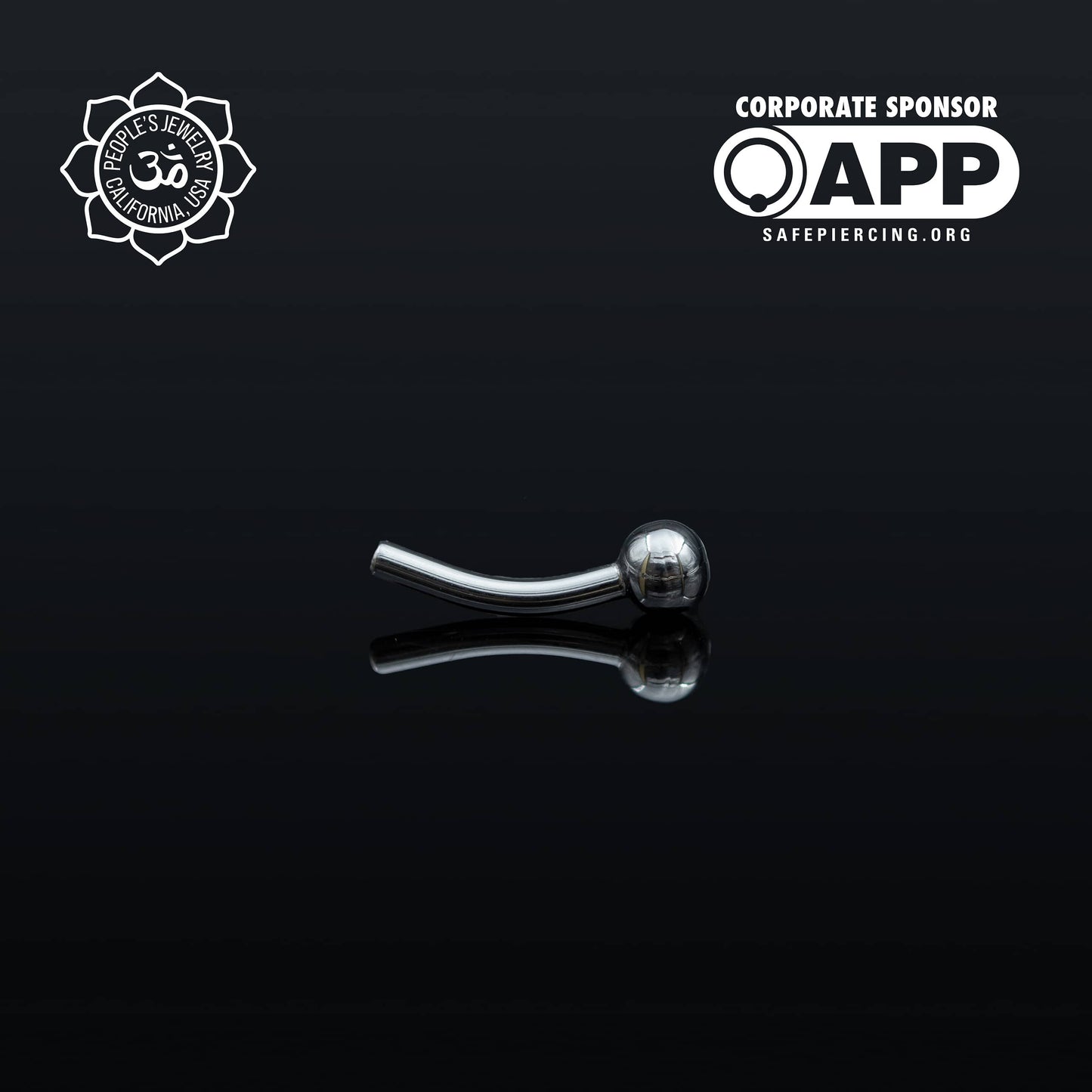 Threadless Titanium Fixed-Bead Curved Barbells