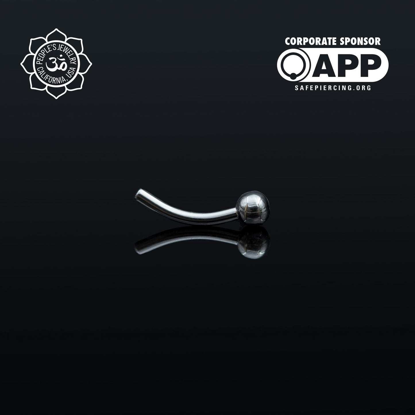 Threadless Titanium Fixed-Bead Curved Barbells