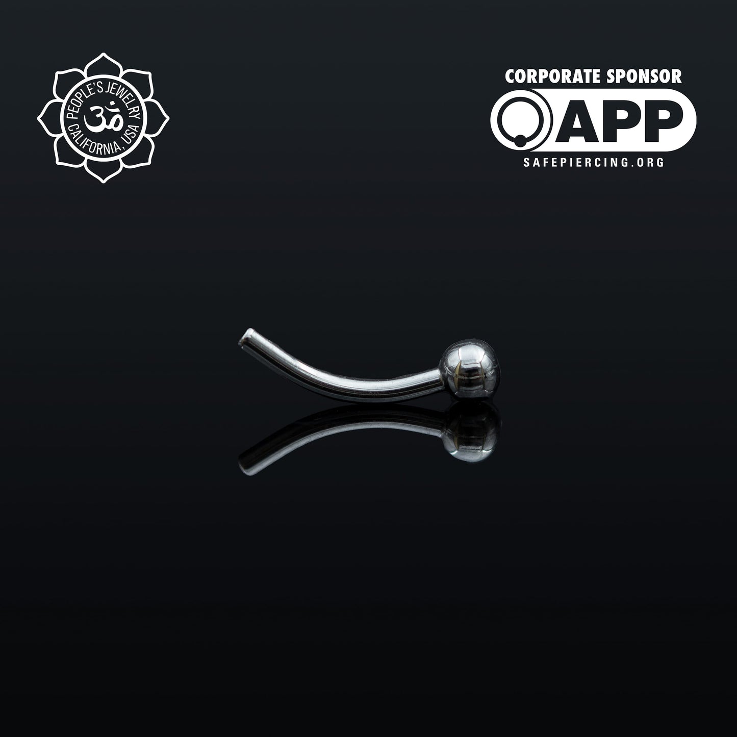 Threadless Titanium Fixed-Bead Curved Barbells