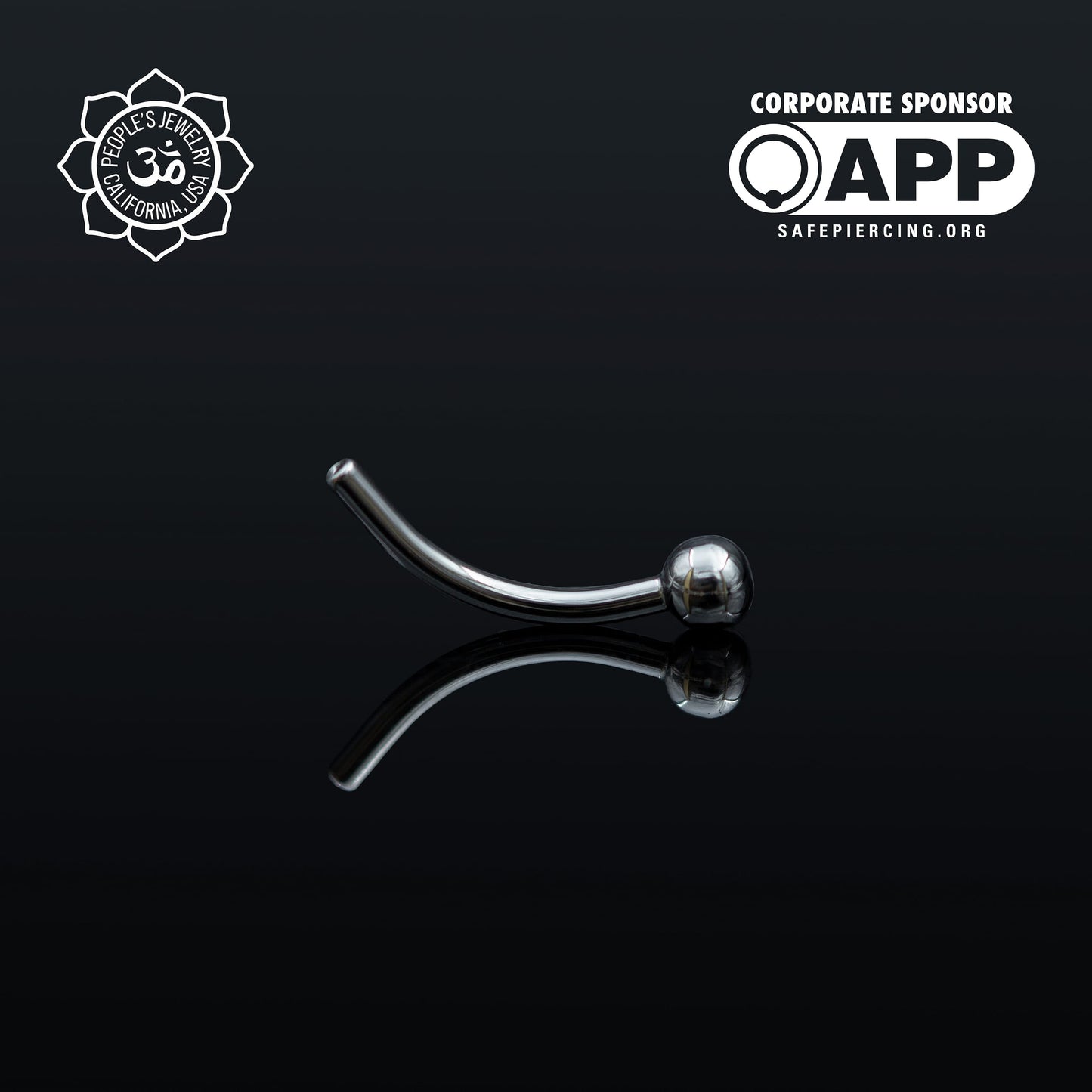 Threadless Titanium Fixed-Bead Curved Barbells