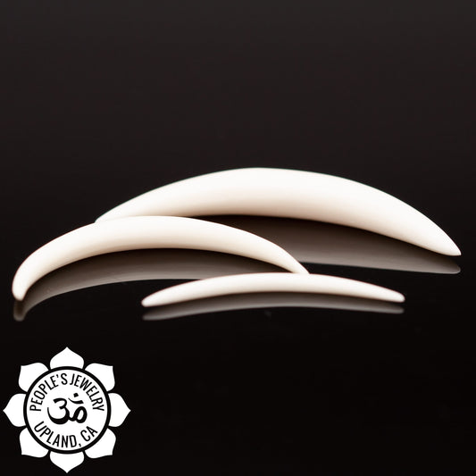 Bone Septum Tusks